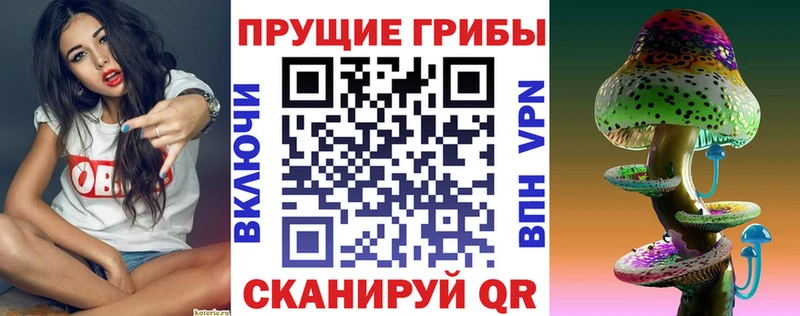 ОМГ ОМГ ONION  Лыткарино  Псилоцибиновые грибы мицелий 