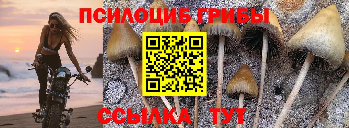 Псилоцибиновые грибы MAGIC MUSHROOMS  Вход с VPN  Псилоцибиновые грибы прущие грибы  Лыткарино 