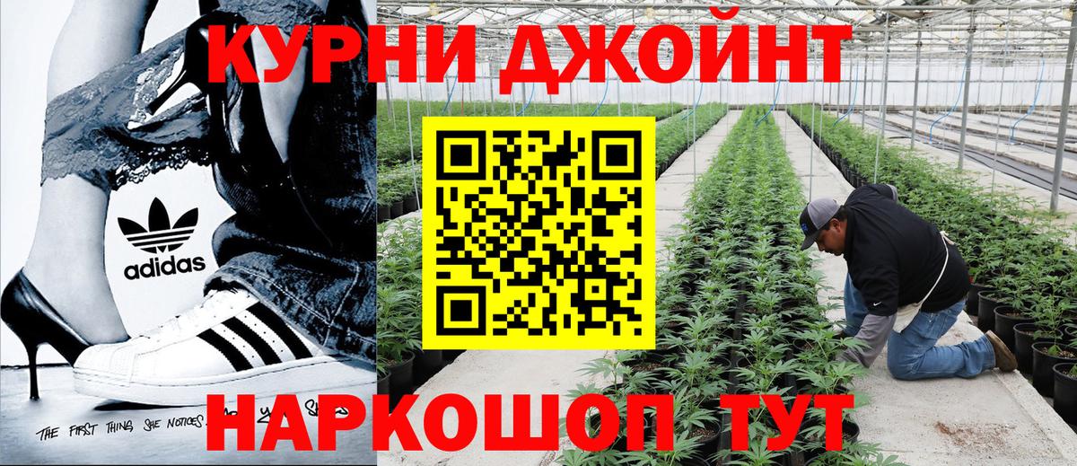 Бошки Шишки конопля Лыткарино